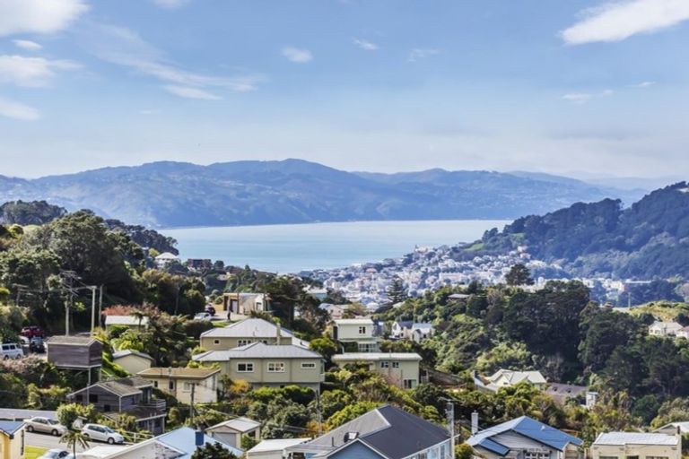 Photo of property in 153 The Ridgeway, Mornington, Wellington, 6021