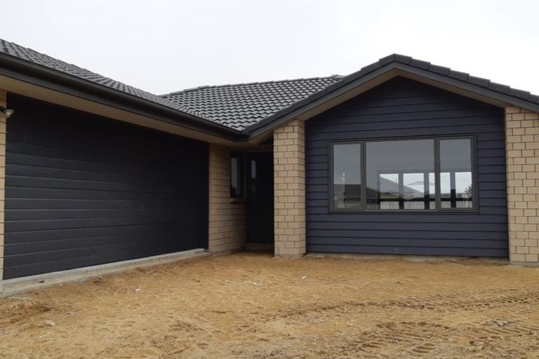 Photo of property in 224 Borman Road, Rototuna North, Hamilton, 3210