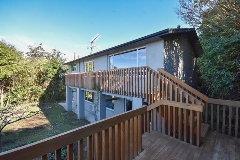 Photo of property in 45 Leven Street, Roslyn, Dunedin, 9010