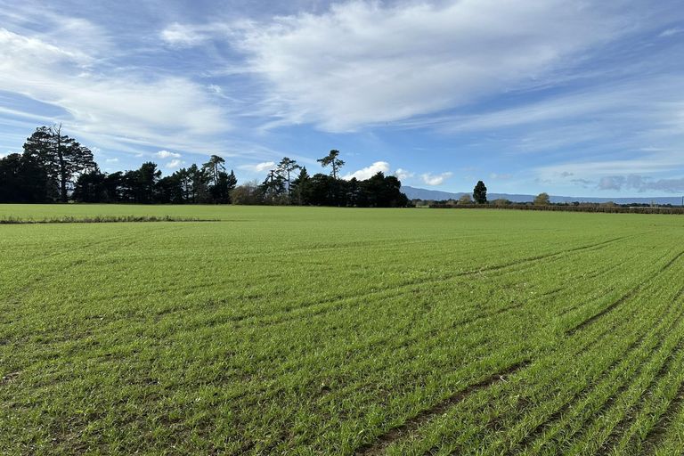 Photo of property in 314 Campbell Road, Richmond Downs, Walton, 3475