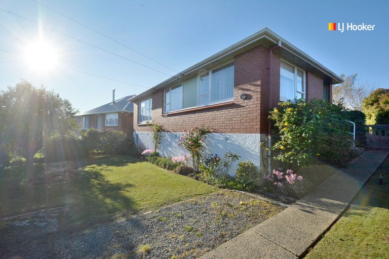 Photo of property in 113 Caldwell Street, Brockville, Dunedin, 9011