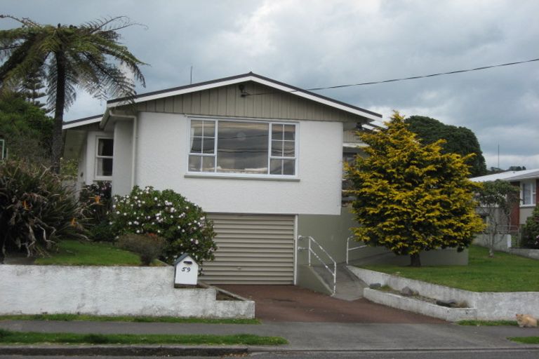 Photo of property in 59 Young Street, New Plymouth, 4310