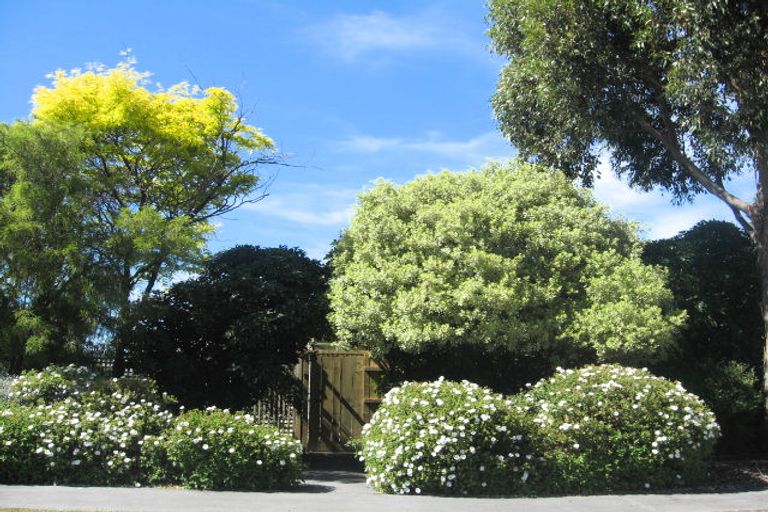 Photo of property in 38 Yellowstone Crescent, Burwood, Christchurch, 8083