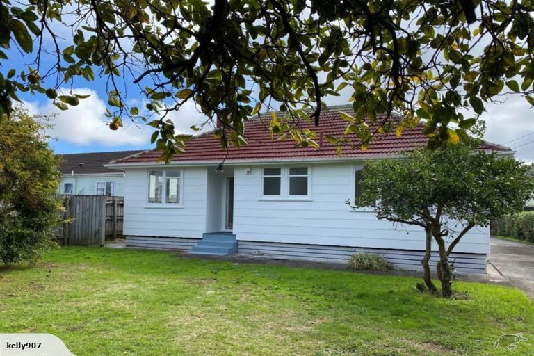 Photo of property in 204 Panama Road, Mount Wellington, Auckland, 1062