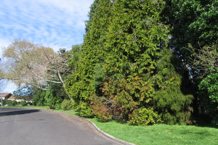 Photo of property in 9 Shearman Grove, Tauranga South, Tauranga, 3112