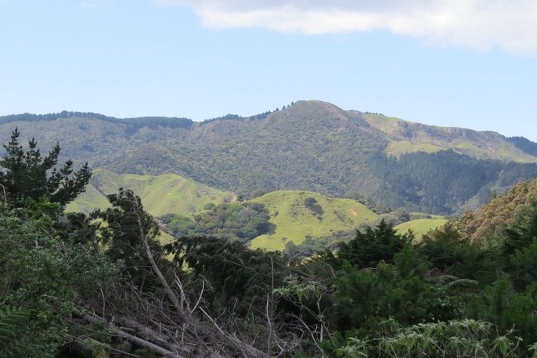 Photo of property in 154 Wood Road, Colville, Coromandel, 3584