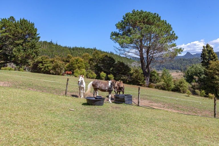 Photo of property in 896a Hikuai Settlement Road, Pauanui, Hikuai, 3579