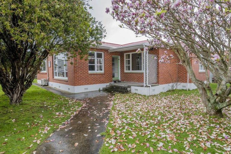 Photo of property in 21 Stanley Street, Levin, 5510