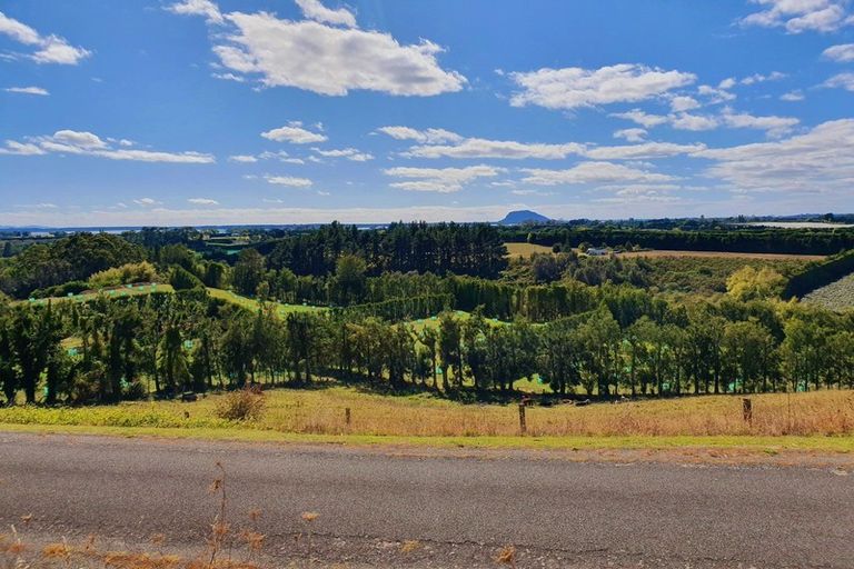 Photo of property in 198b Snodgrass Road, Te Puna, Whakamarama, 3174