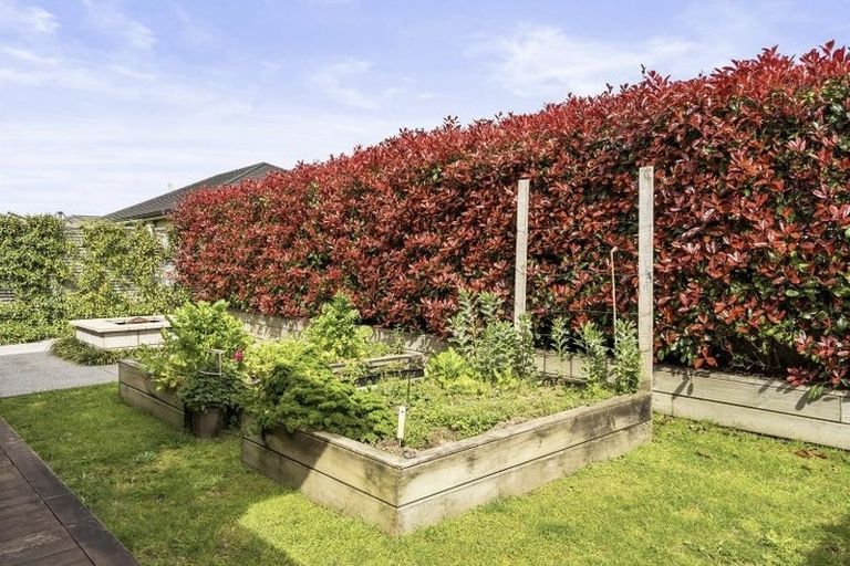 Photo of property in 61 West Thompson Street, Leamington, Cambridge, 3432