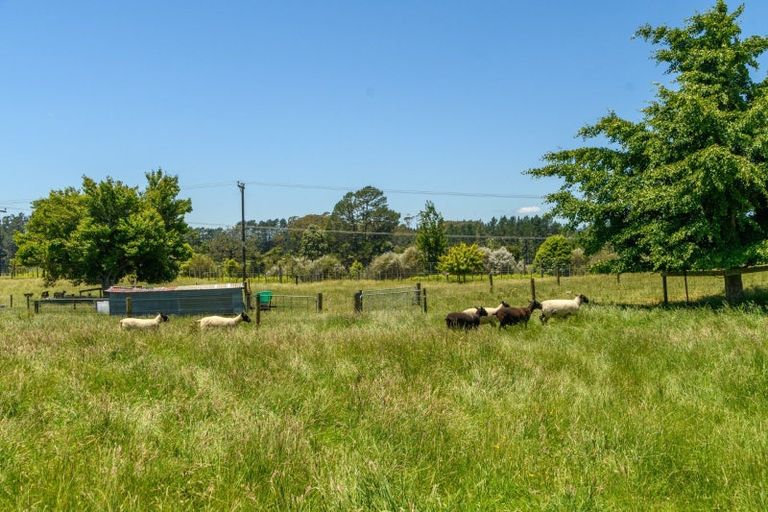 Photo of property in 41 Walter Henry Drive, Omanawa, Tauranga, 3171