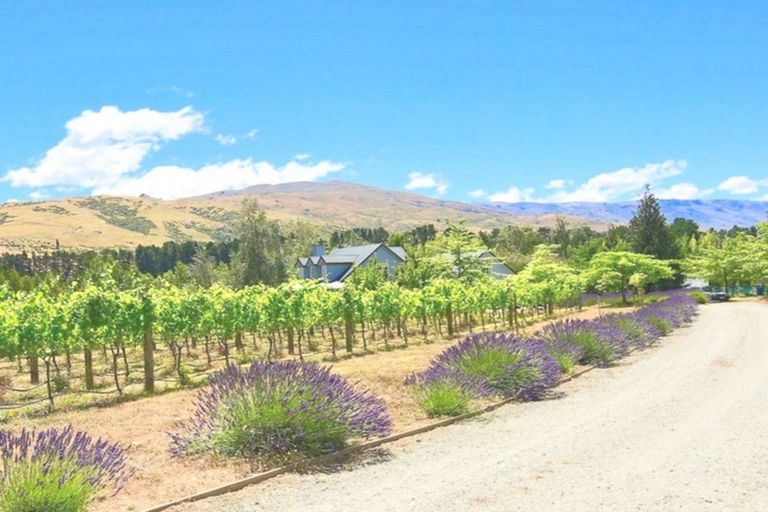 Photo of property in 141 Pearson Road, Cromwell, 9384