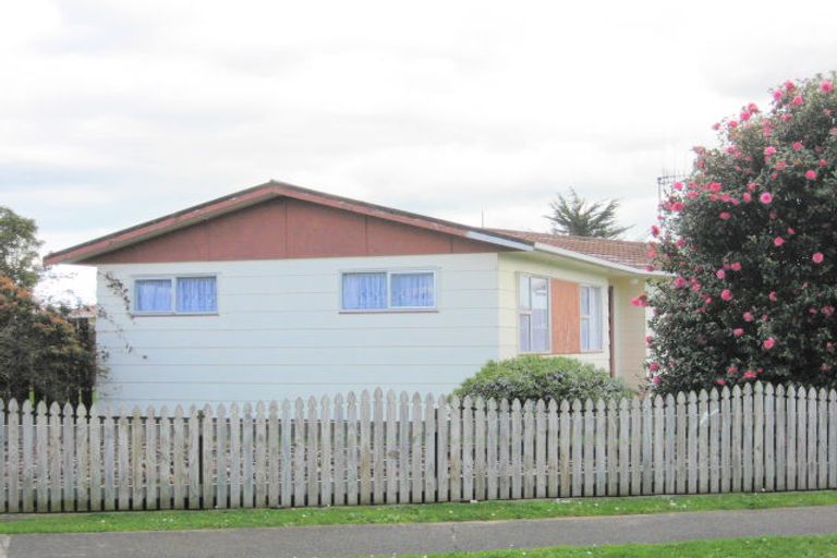 Photo of property in 21 Heather Street, Levin, 5510