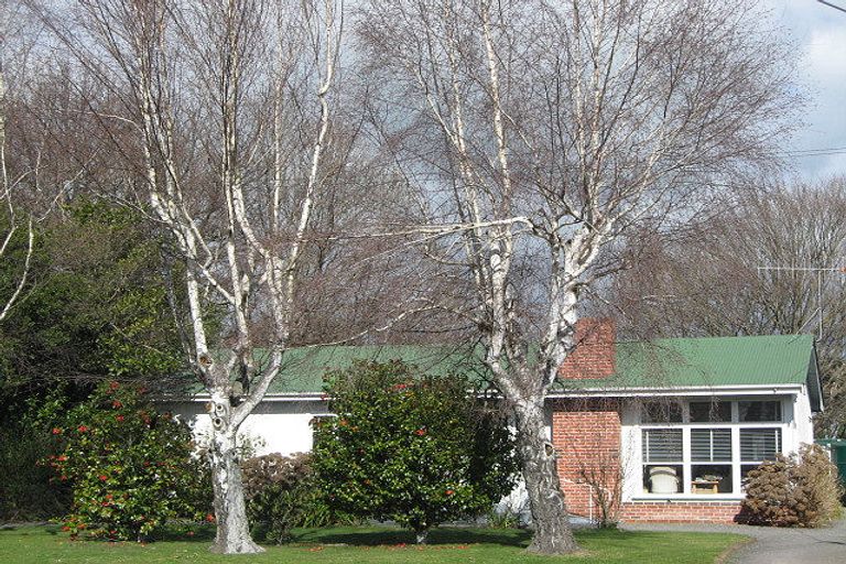 Photo of property in 8 Mitchell Street, Waipukurau, 4200