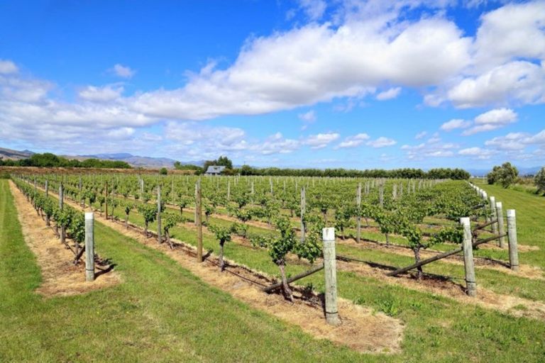 Photo of property in 166 Morgans Road, Grovetown, Blenheim, 7273