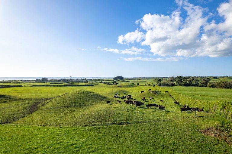 Photo of property in 306 Pungarehu Road, Pungarehu, 4685