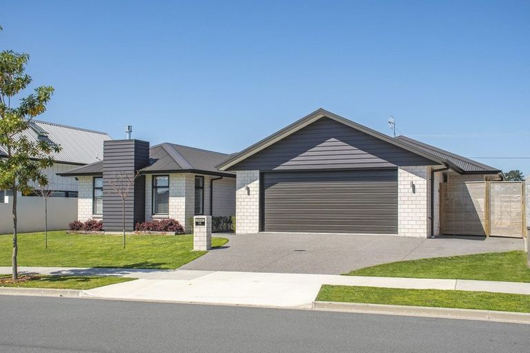 Photo of property in 14 Saint Thomas Avenue, Pyes Pa, Tauranga, 3112