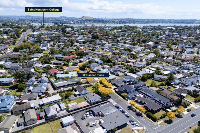 Photo of property in 12 Ussher Place, Pakuranga Heights, Auckland, 2010