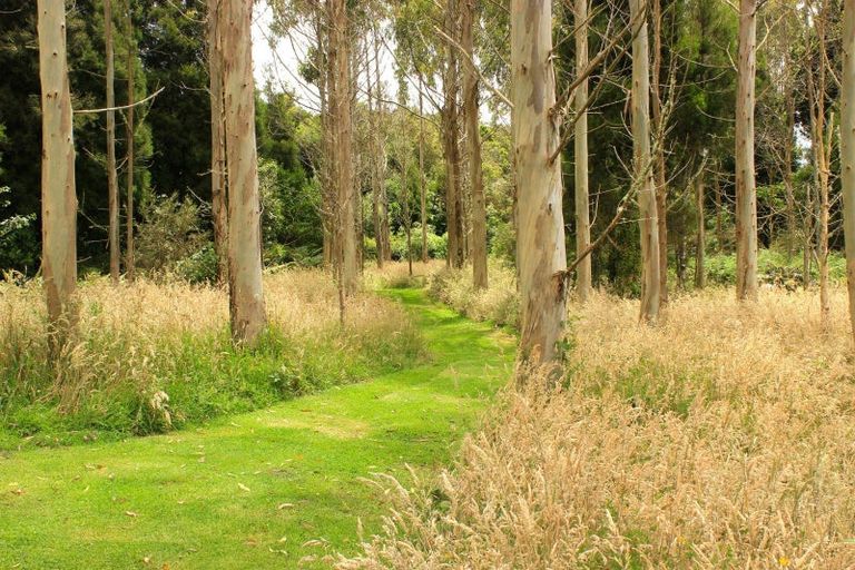 Photo of property in 828 Dover Road, Okato, New Plymouth, 4374