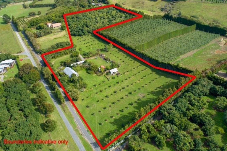 Photo of property in 109a Plummer Road, Whakamarama, Tauranga, 3179