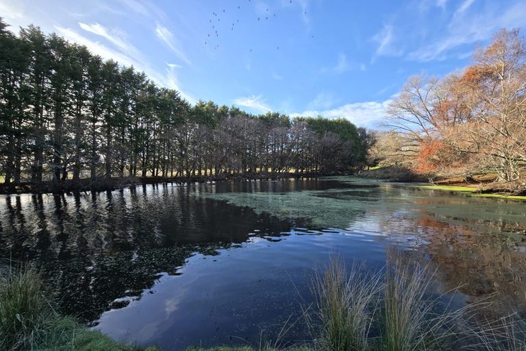 Photo of property in 417 Ngaumu Road, Ngaumu, Masterton, 5890