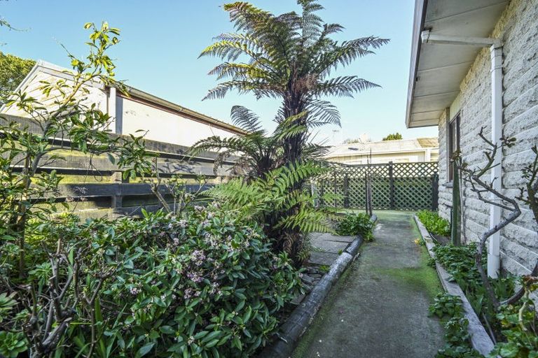 Photo of property in 3/623 Frederick Street, Mahora, Hastings, 4120