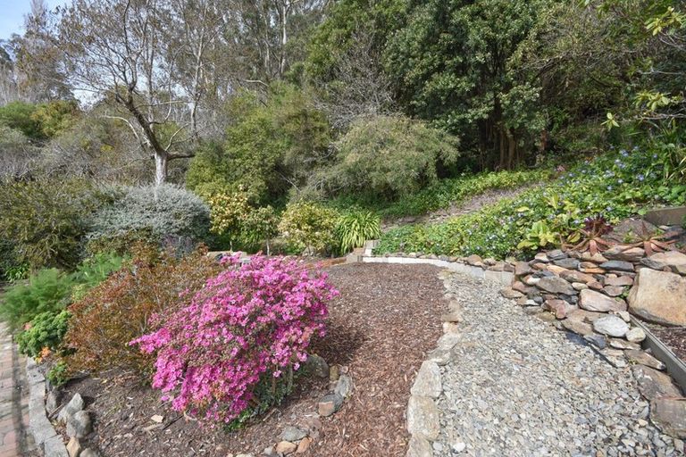 Photo of property in 8 Irvine Road, The Cove, Dunedin, 9077