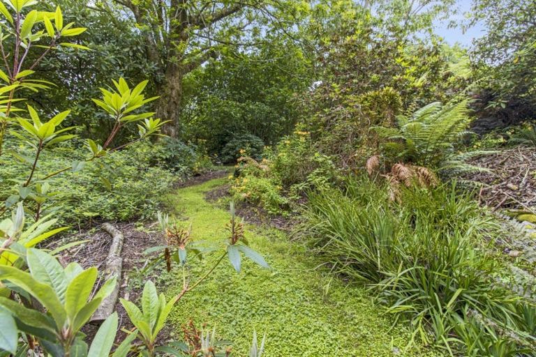 Photo of property in 488 Tapuwae Road, Maniaiti / Benneydale, Te Kuiti, 3987