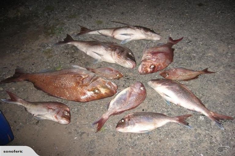 Photo of property in 355 Kimberley Road, Houhora, Pukenui, 0484