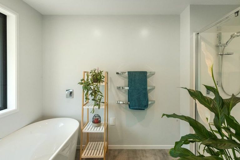 Photo of property in 251 Woodland Road, Tahawai, Katikati, 3170