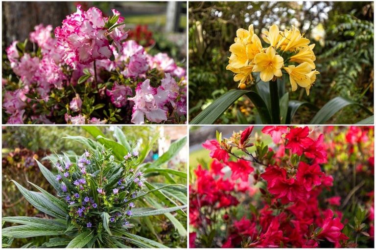 Photo of property in 8 Ward Street, Springlands, Blenheim, 7201