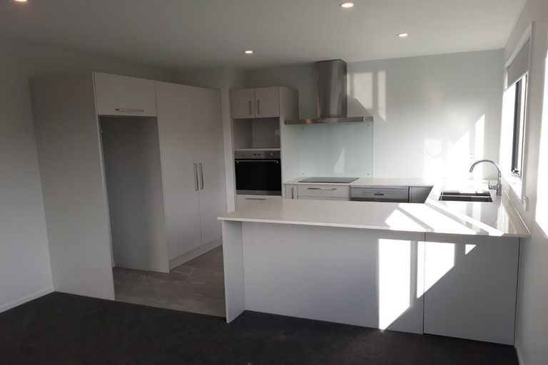 Photo of property in 52 William Nicholls Drive, Belfast, Christchurch, 8051