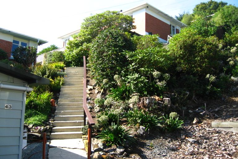 Photo of property in 43a Calder Avenue, North East Valley, Dunedin, 9010