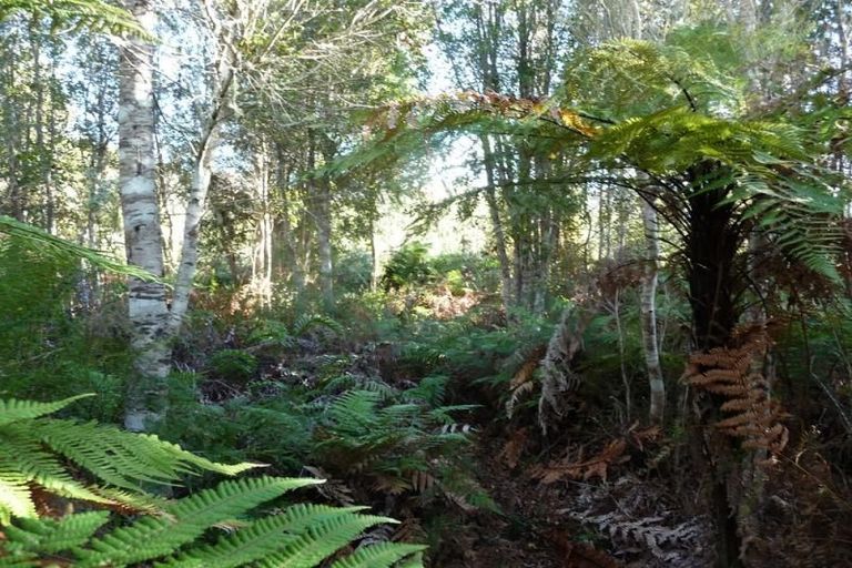 Photo of property in 32 Charming Creek Road, Seddonville, Westport, 7891