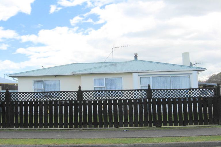 Photo of property in 17 Heather Street, Levin, 5510