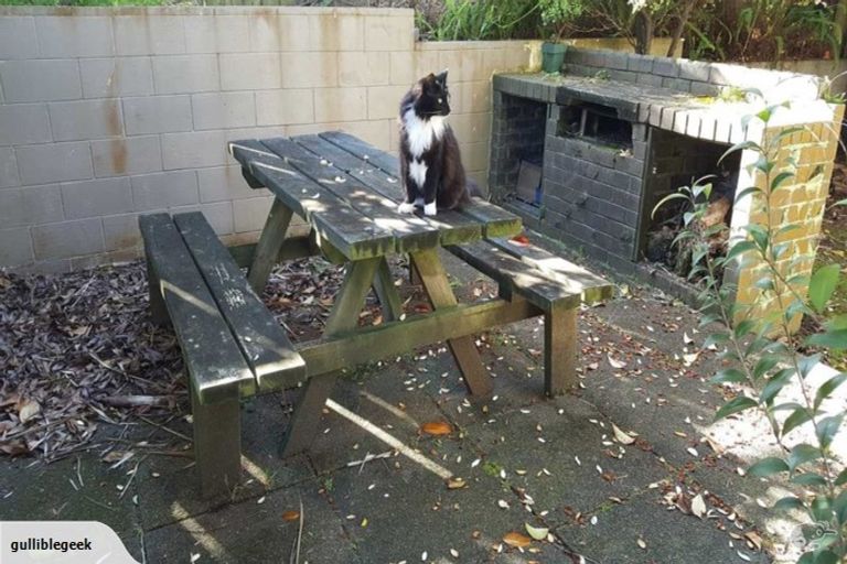 Photo of property in 2/533 Beach Road, Murrays Bay, Auckland, 0630