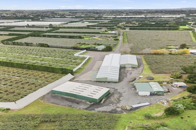 Photo of property in 288a No 3 Road, Te Puke, 3183