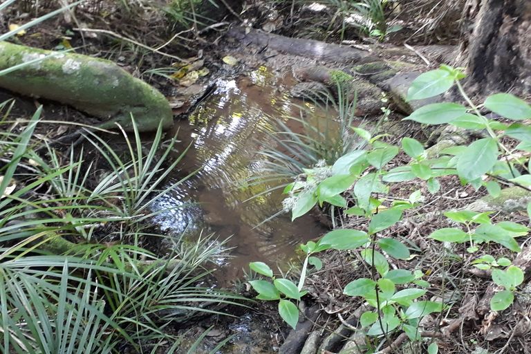 Photo of property in 296 Devich Road, Mangawhai, Kaiwaka, 0573