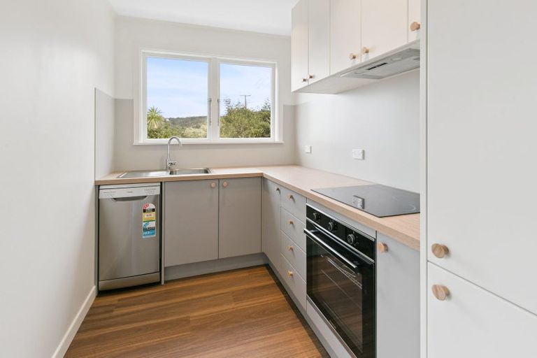 Photo of property in 97b Raroa Road, Aro Valley, Wellington, 6012