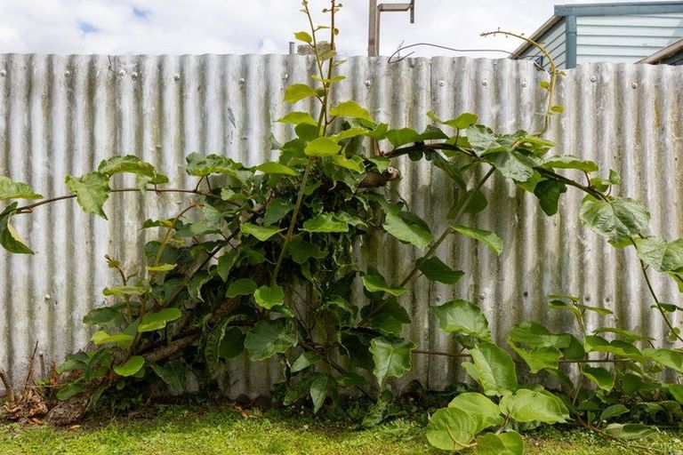 Photo of property in 21 Stanley Avenue, Te Aroha, 3320