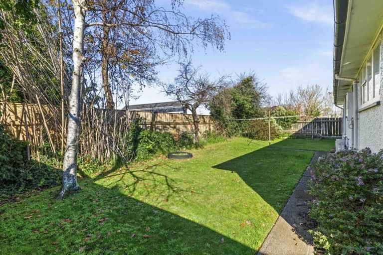 Photo of property in 46b Napier Road, Havelock North, 4130