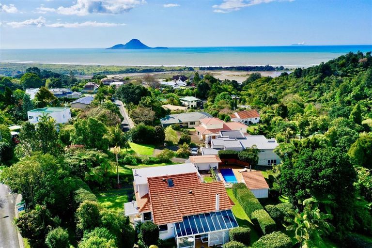 Photo of property in 37 Hillcrest Road, Whakatane, 3120