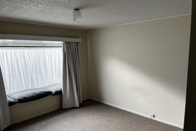 Photo of property in 19 Sheen Street, Roslyn, Dunedin, 9010