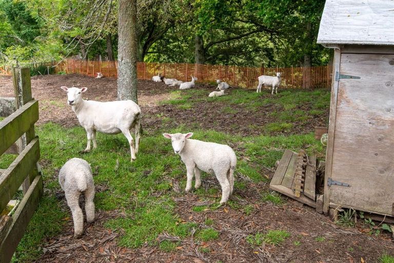 Photo of property in 51a Kaska Road, Hamurana, Rotorua, 3097