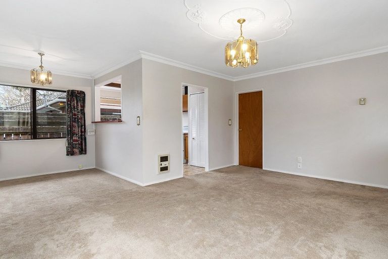 Photo of property in 8b Short Street, Otumoetai, Tauranga, 3110