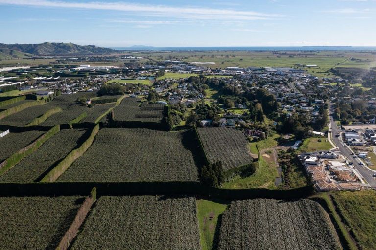 Photo of property in 81 Dunlop Road, Te Puke, 3119