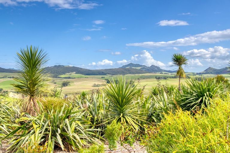 Photo of property in 58 Beasley Road, Pataua South, Onerahi, 0192