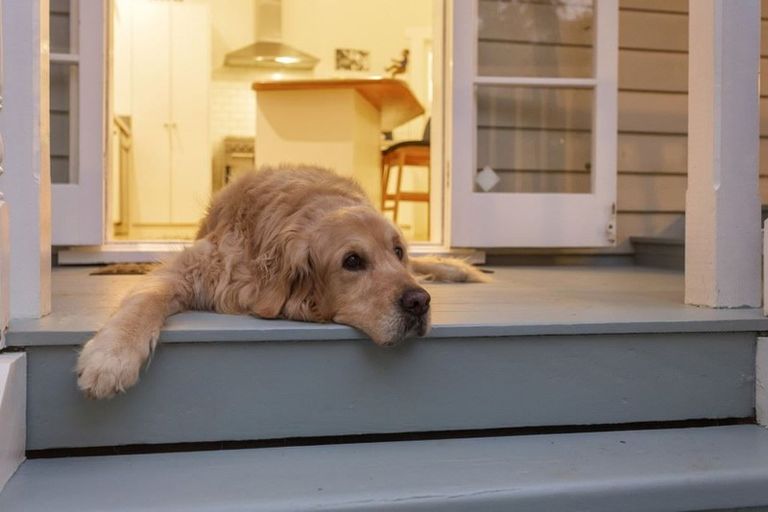 Photo of property in 12b Kawerau Avenue, Devonport, Auckland, 0624