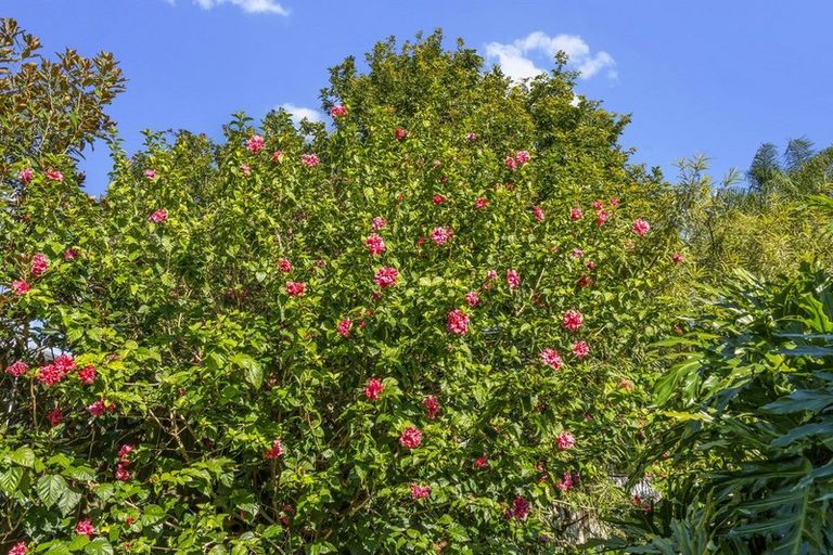 Photo of property in 68 Archers Road, Glenfield, Auckland, 0629