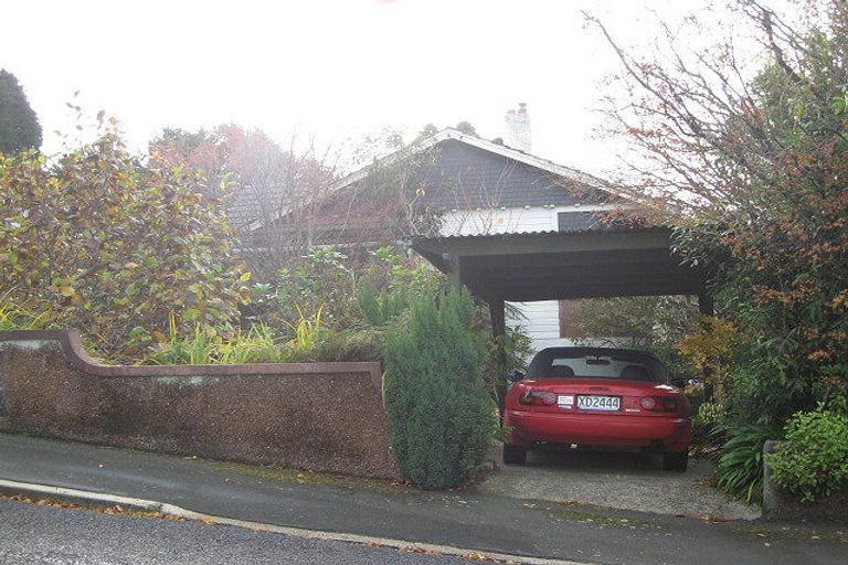 Photo of property in 41 Leven Street, Roslyn, Dunedin, 9010